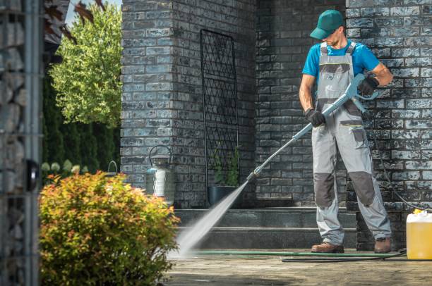 Best Driveway Pressure Washing  in Tangelo Park, FL