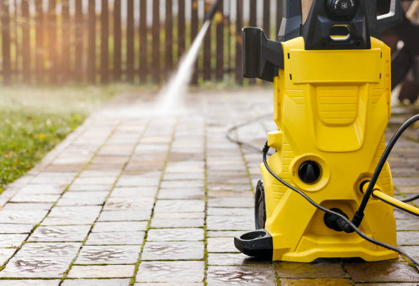 Best Animal Enclosure Cleaning  in Tangelo Park, FL